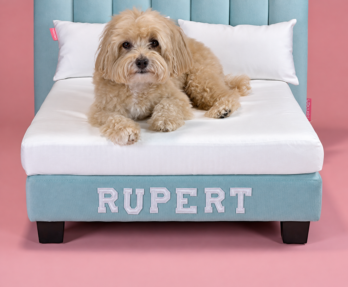 The name RUPERT spelled in white letters across the base of a Luxor, with the letter kit box below