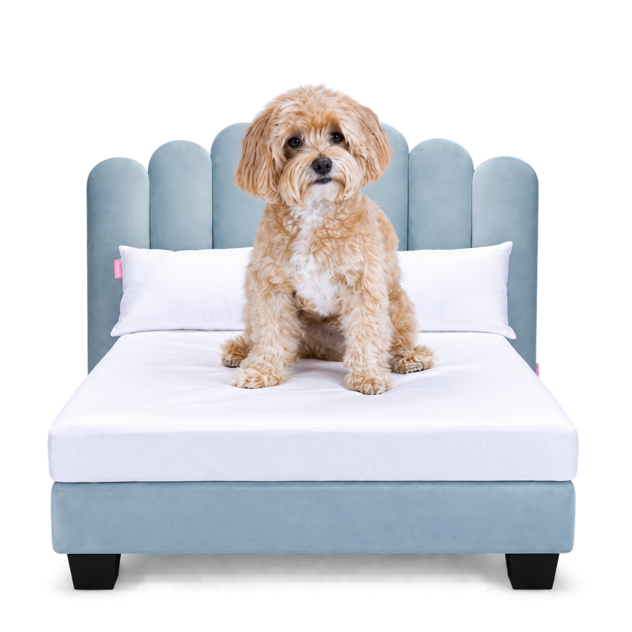 A Cockapoo on the Luxor in Riviera Blue, made up with white 400TC bedding and two pillows
