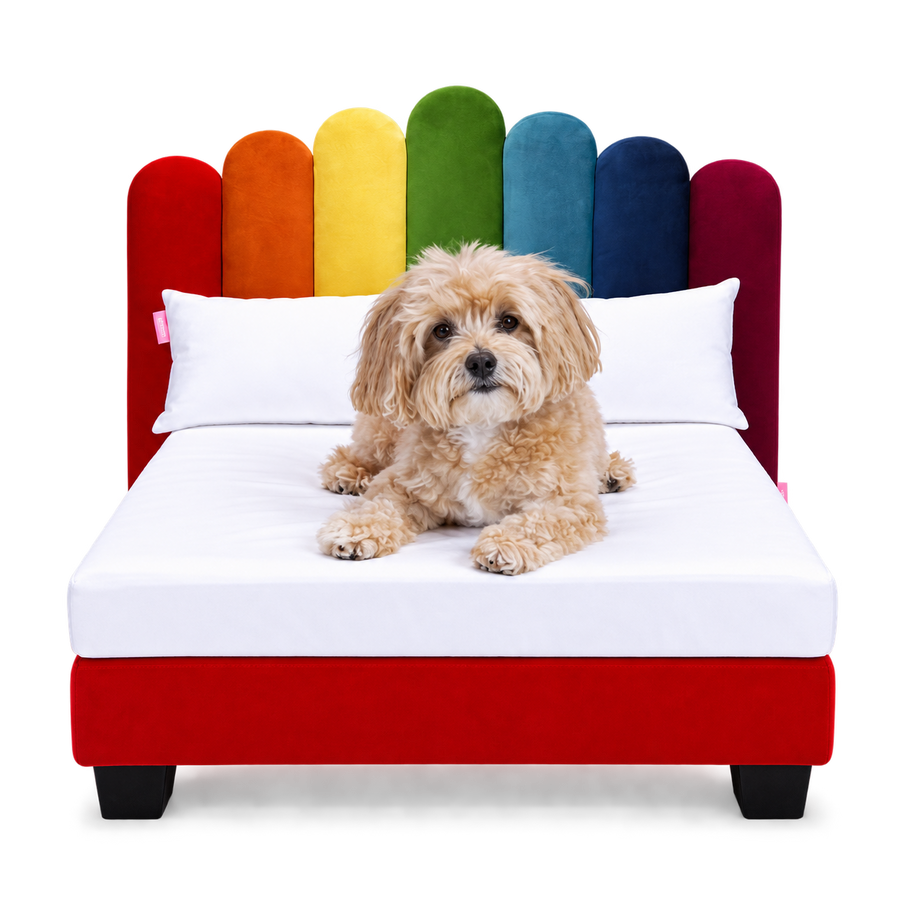 A Cockapoo on the Luxor in the Unicorn colourway, made up with white 400TC bedding and two pillows