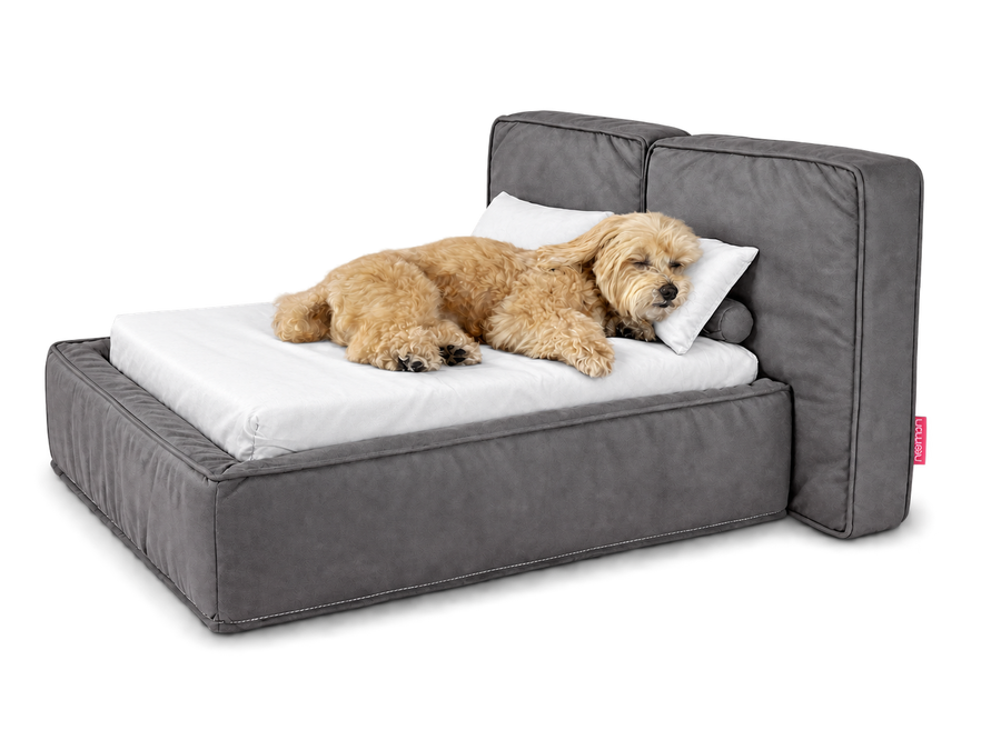 A Cockapoo asleep on the Soho in urban grey vegan leather, made up with white 400TC cotton bedding