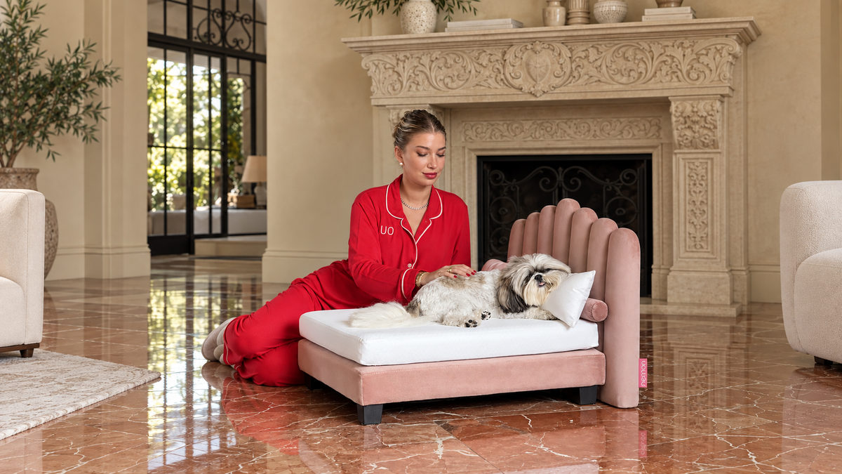 A Dusky Pink Luxor beside a carved stone fireplace in a marble hallway, an owner in red pyjamas stroking a Shih Tzu asleep on it