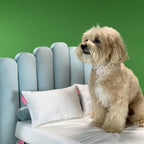 Cotton Bed Linen Set