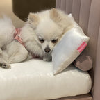 Silk Dog Bed Set