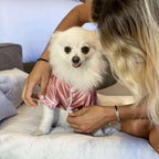 Silk Dog Bed Set