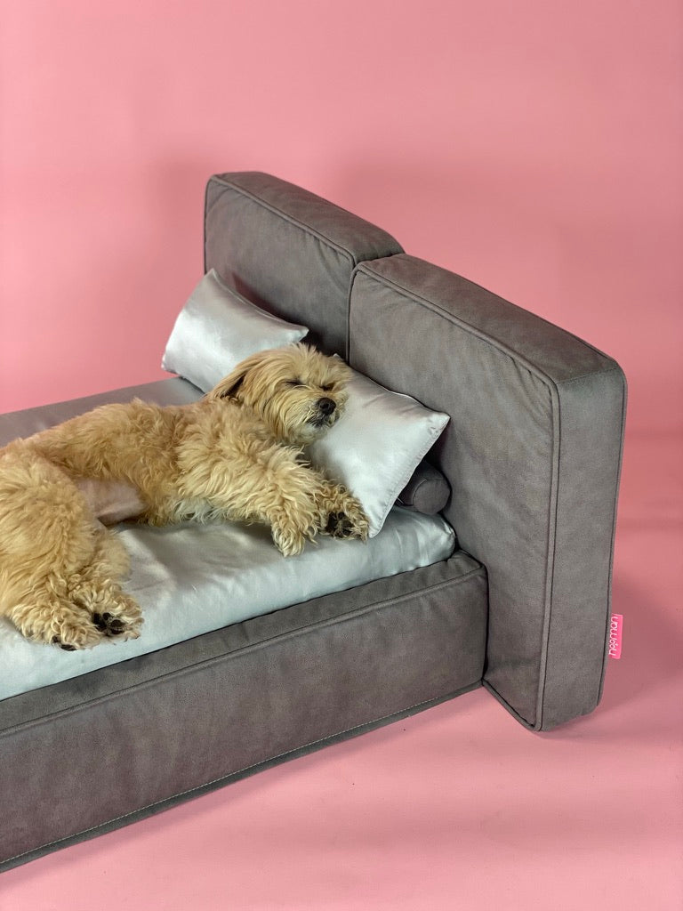 A dog resting on silk bedding