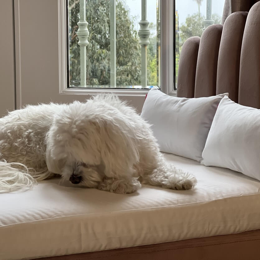 Cotton Bed Linen Set